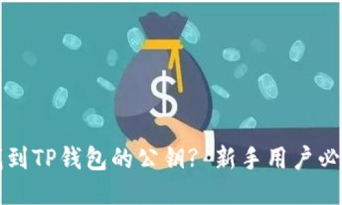 如何找到TP钱包的公钥? 新手用户必读指南