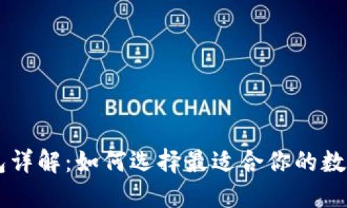 瑞波币官方钱包详解：如何选择最适合你的数字资产管理平台