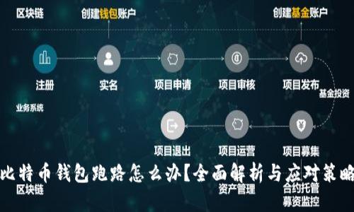 比特币钱包跑路怎么办？全面解析与应对策略