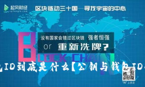 标题
比特币钱包ID到底是什么？公钥与钱包ID的深入解析