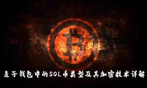麦子钱包中的SOL币类型及其加密技术详解