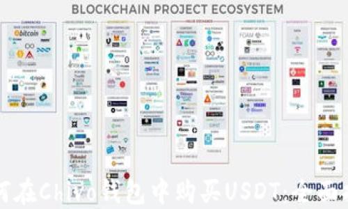 如何在Chivo钱包中购买USDT:全面指南
