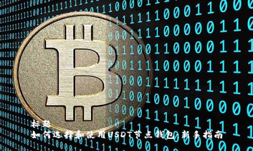 标题
如何选择和使用USDT节点钱包：新手指南