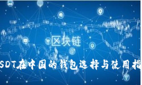 USDT在中国的钱包选择与使用指南