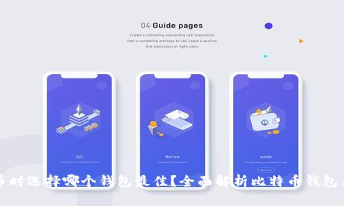 购买比特币时选择哪个钱包最佳？全面解析比特币钱包类型及推荐