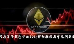 如何在麦子钱包中加SOL：