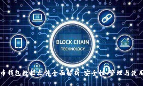 比特币钱包数据文件全面解析：安全性、管理与使用指南