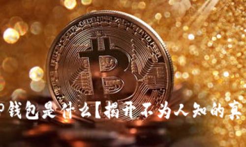 TP钱包是什么？揭开不为人知的真相