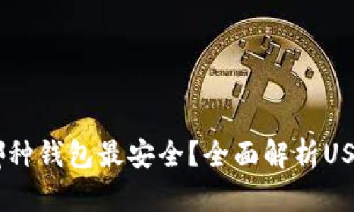 USDT使用哪种钱包最安全？全面解析USDT钱包选择