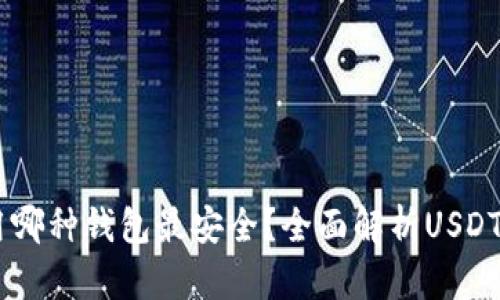 USDT使用哪种钱包最安全？全面解析USDT钱包选择