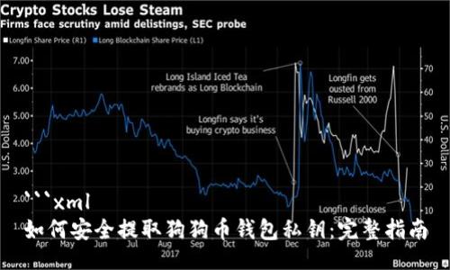 ```xml
如何安全提取狗狗币钱包私钥：完整指南