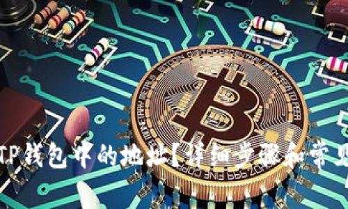 如何查看TP钱包中的地址?详细步骤和常见问题解答