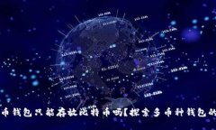 比特币钱包只能存放比特