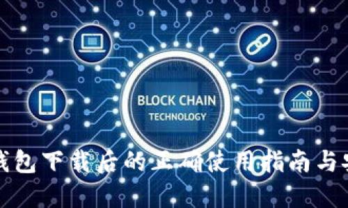 比特币钱包下载后的正确使用指南与安全策略