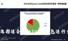 如何选择适合你的SOL链钱