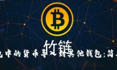 如何将TP钱包中的货币导入