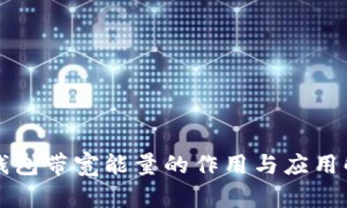 TP钱包带宽能量的作用与应用解析