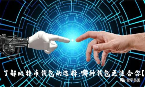 了解比特币钱包的选择：哪种钱包更适合你？