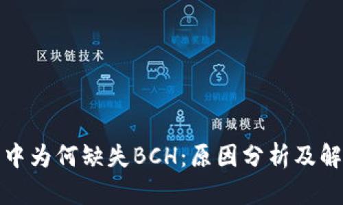 TP钱包中为何缺失BCH：原因分析及解决方案