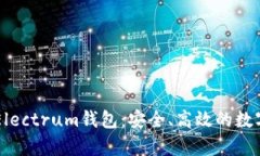 全面解析LTC Electrum钱包：