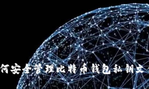 如何安全管理比特币钱包私钥文件？