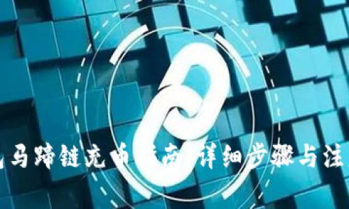 TP钱包马蹄链充币指南：详细步骤与注意事项