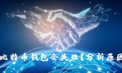 为何TP钱包比特币钱包会失
