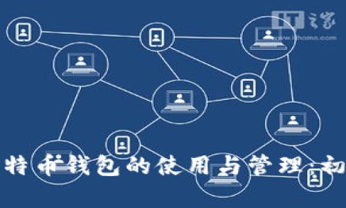 标题: 比特币钱包的使用与管理：初学者指南