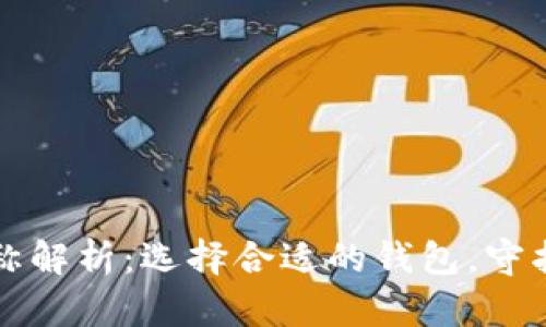 比特币钱包名称解析：选择合适的钱包，守护你的数字资产