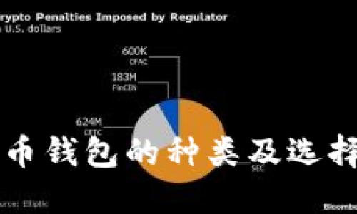 比特币钱包的种类及选择指南