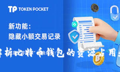 全面解析比特币钱包的资源占用和策略