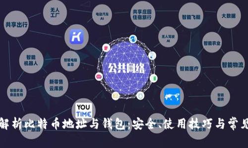 全面解析比特币地址与钱包：安全、使用技巧与常见问题
