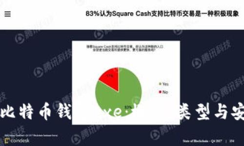 彻底了解比特币钱包exe：概念、类型与安全性解析