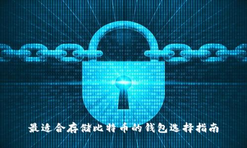 最适合存储比特币的钱包选择指南