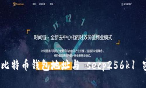  深入理解比特币钱包地址与 secp256k1 密码学基础