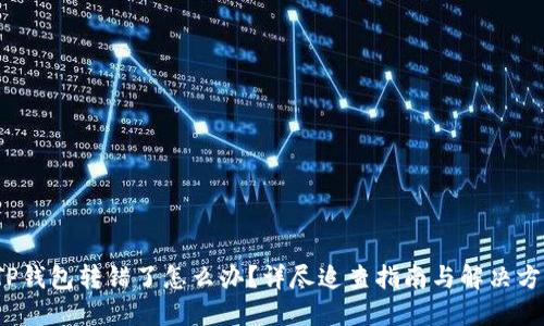  TP钱包转错了怎么办？详尽追查指南与解决方案