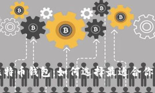 全面解析比特币钱包：如何选择最适合你的钱包类型