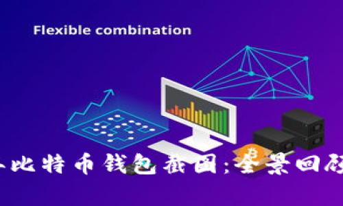 2021年比特币钱包截图：全景回顾及分析