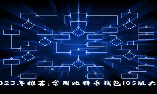 2023年推荐：常用比特币钱包iOS版大全