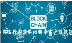 如何选择和获取比特币客