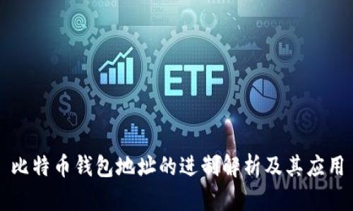 比特币钱包地址的进制解析及其应用
