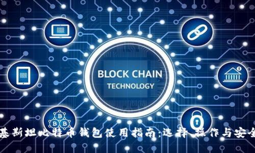 巴基斯坦比特币钱包使用指南：选择、操作与安全性
