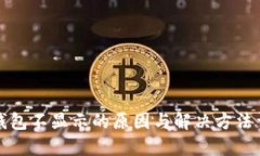 TP钱包不显示的原因与解决
