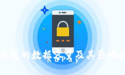 比特币钱包的数据容量及其影响因素解析