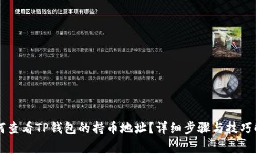 如何查看TP钱包的持币地址？详细步骤与技巧解析