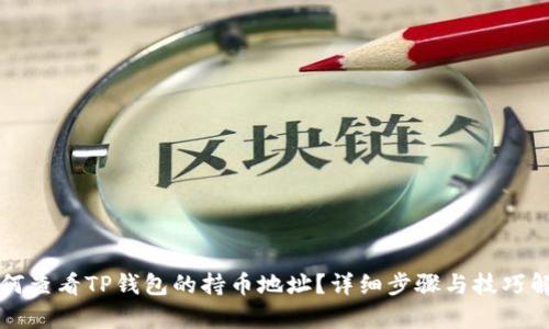 如何查看TP钱包的持币地址？详细步骤与技巧解析