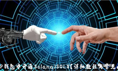 
如何在TP钱包中开通Solana（SOL）？详细教程与常见问题解答