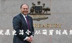 比特币钱包发展史简介：