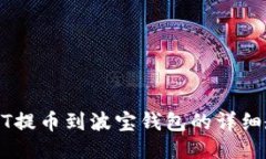 USDT提币到波宝钱包的详细