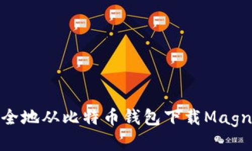 如何安全地从比特币钱包下载Magnet链接